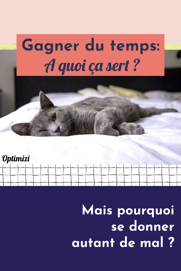 Pourquoi cherche-t-on toujours à gagner du temps? dans quel but? pour quels bénéfices? le stress qui accompagne cette quête n'est pas inéluctable.